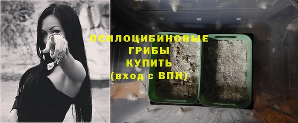 ECSTASY Абаза