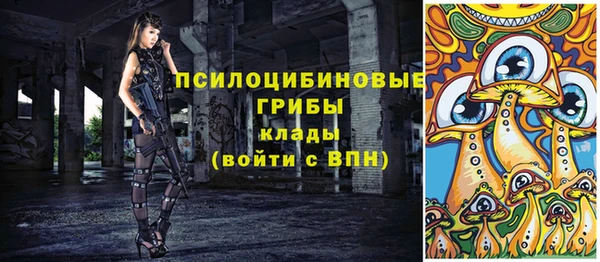 соль ск Новодвинск