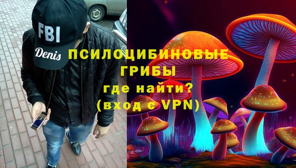 ECSTASY Абаза