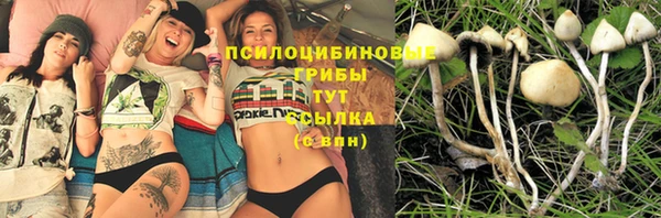 ешки Абдулино