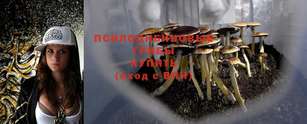 ешки Абдулино