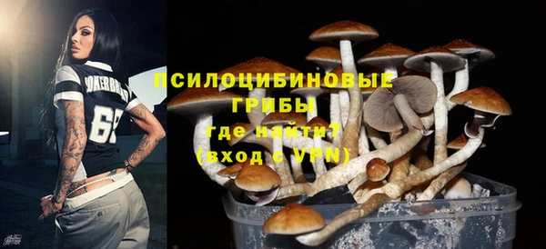 ешки Абдулино