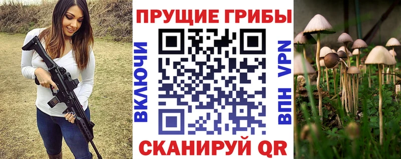 закладка  Урень  Псилоцибиновые грибы мицелий 